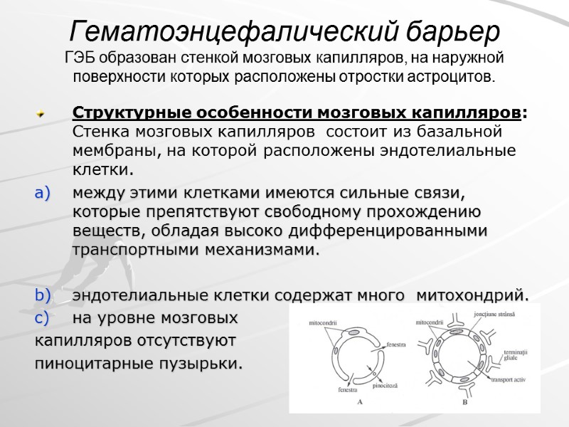 Гематоэнцефалический барьер ГЭБ образован стенкой мозговых капилляров, на наружной  поверхности которых расположены отростки